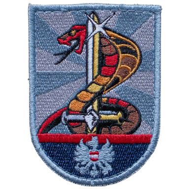 Abzeichen mit einer Schlange und einem Schwert, umgeben von geometrischen Mustern.