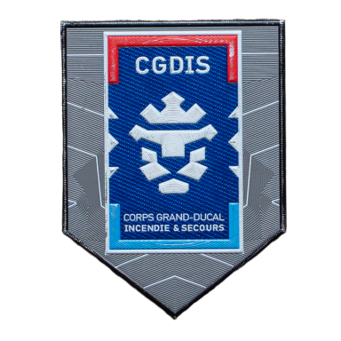 Wappen mit Löwenkopf und dem Schriftzug CGDIS, blaues und graues Design.