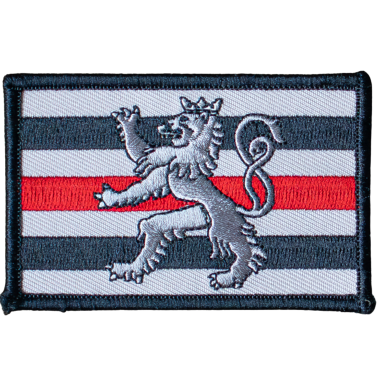 Wappen mit einem silbernen Löwen auf gestreiftem Hintergrund und rotem Streifen.