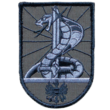 Abzeichen mit einer Schlange, die um ein Schwert gewickelt ist, auf grauem Hintergrund.